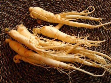 Ginseng root is a powerful erectile stimulant