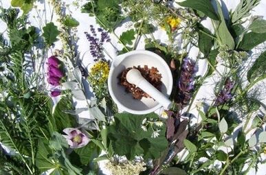 Folk remedies for increasing potency