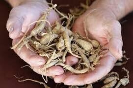 increasing potency in men with natural means